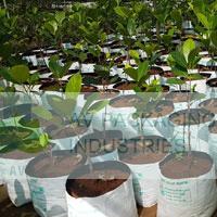 Grow-Bags