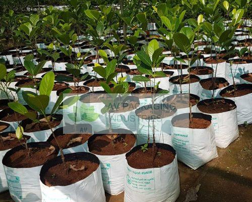 grow-bags