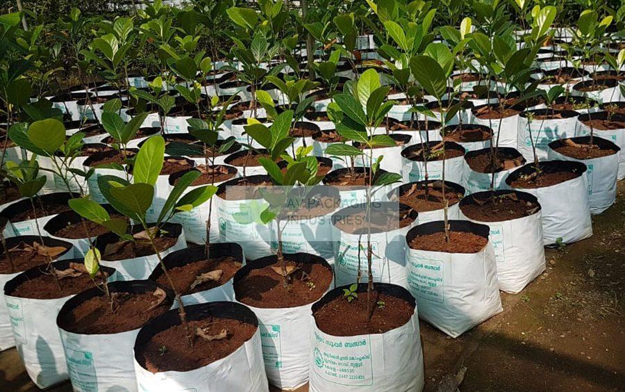 grow-bags